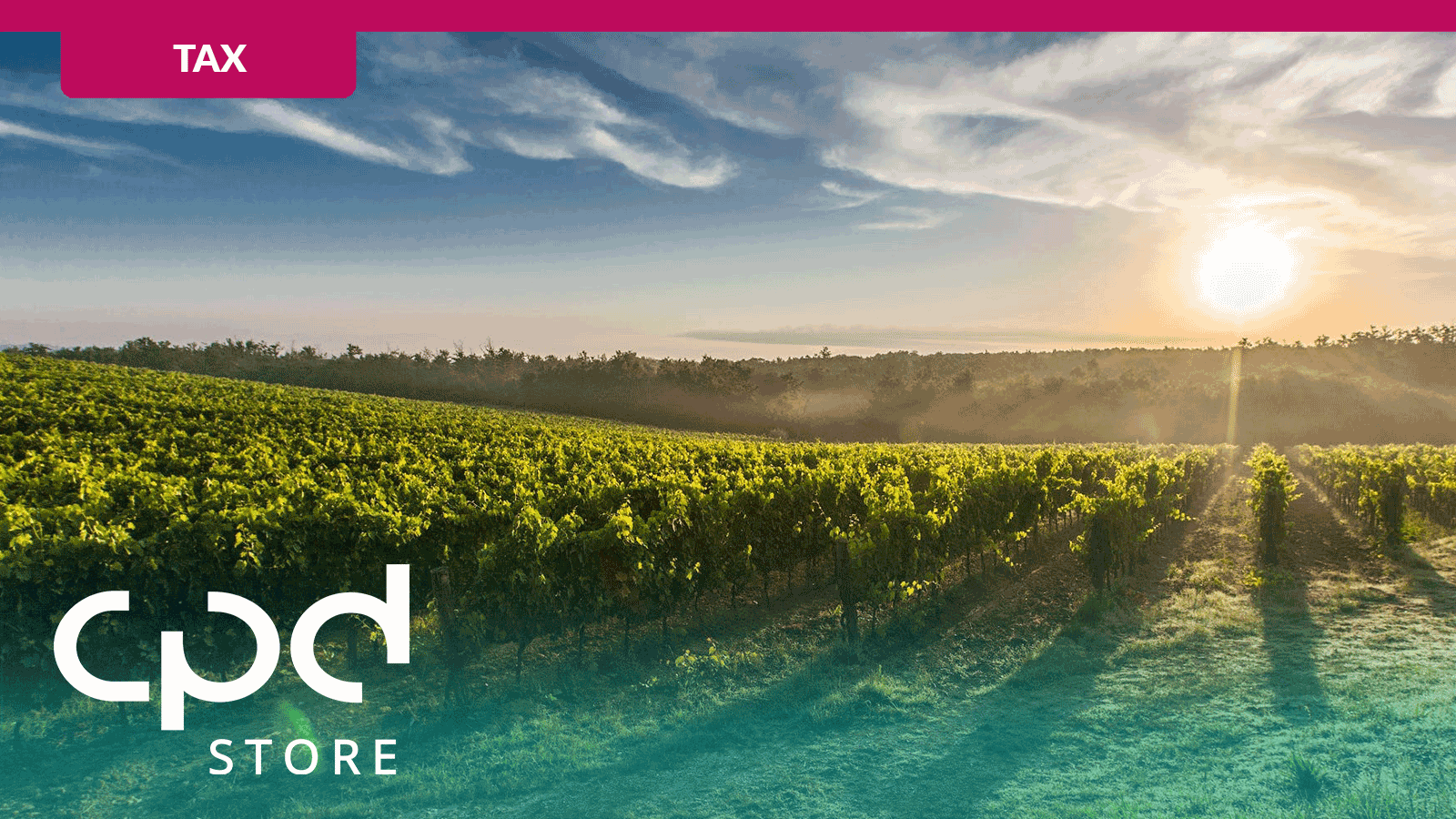 Residential Zoned Land Tax (RZLT) and Its Impact