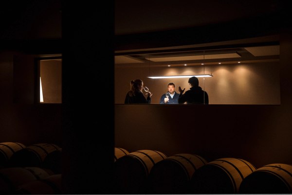 group tasting wine