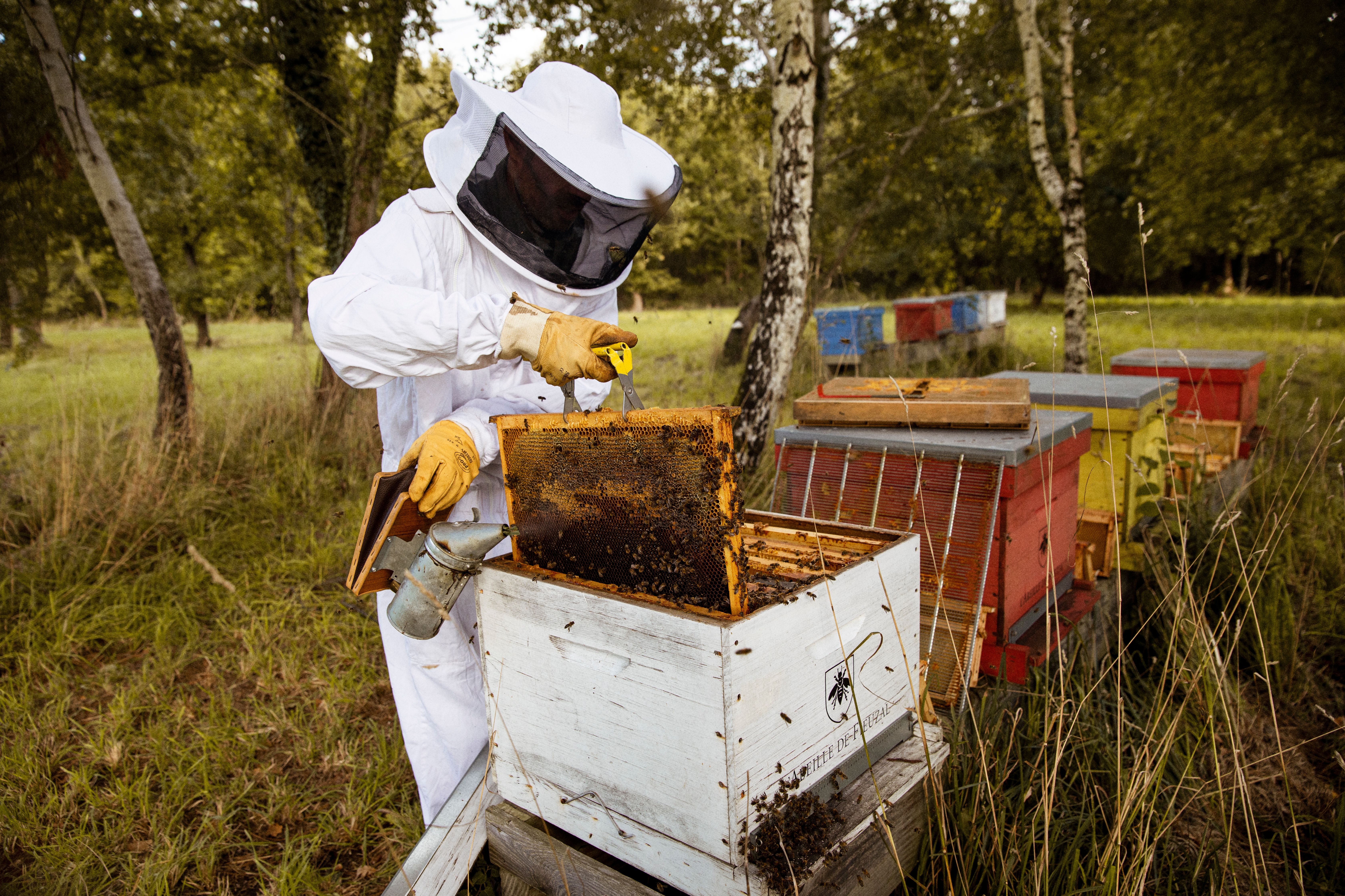 beekeeper of fieuzal