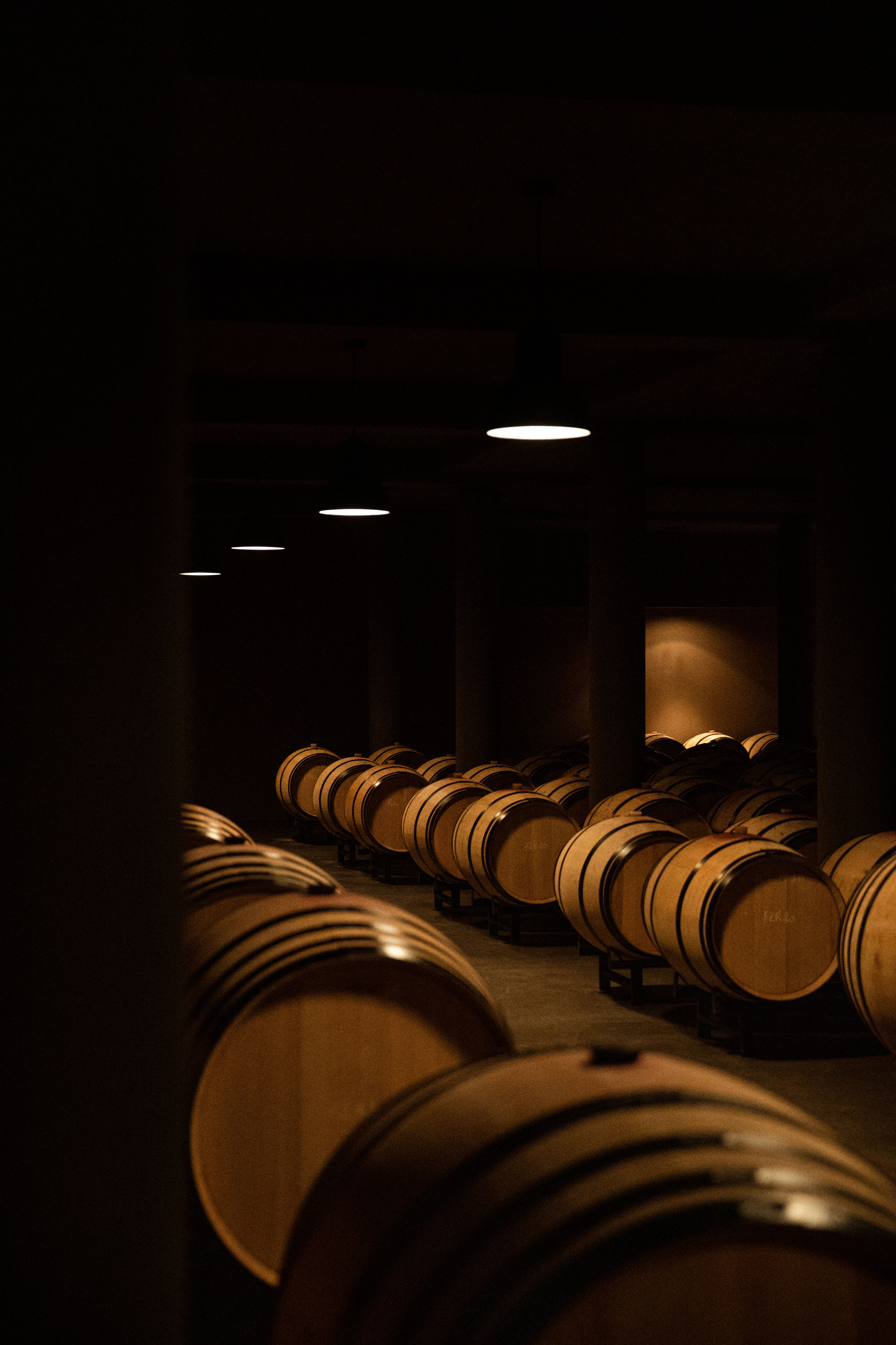 Fieuzal underground barrel room