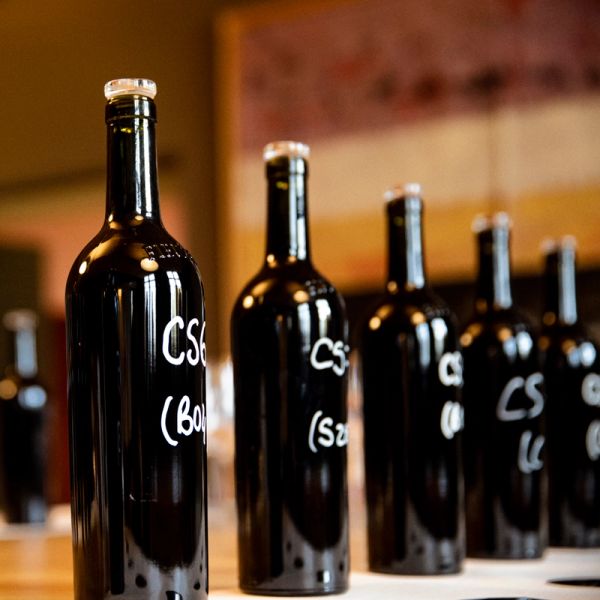 wine tasting samples
