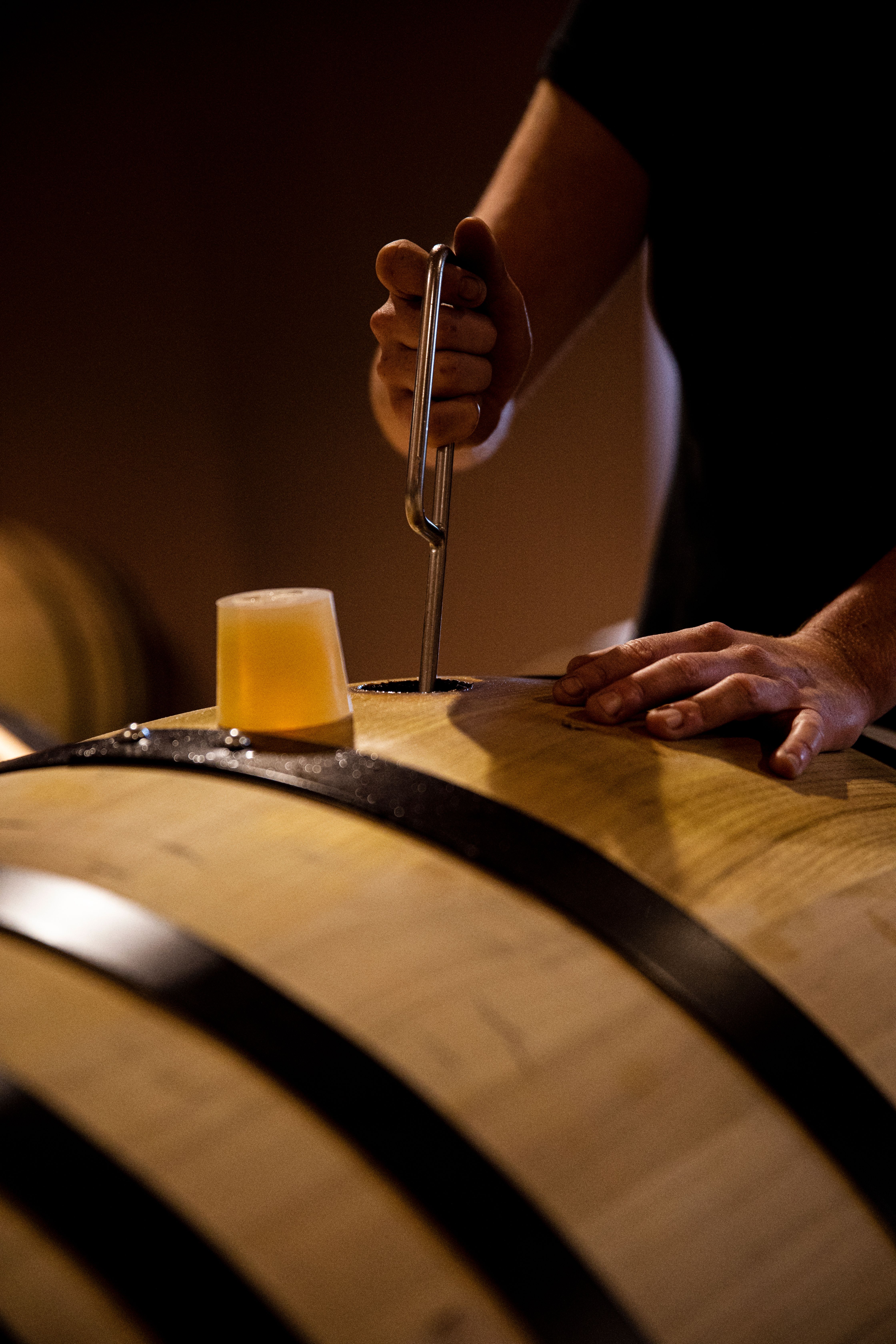 pipette tasting samples