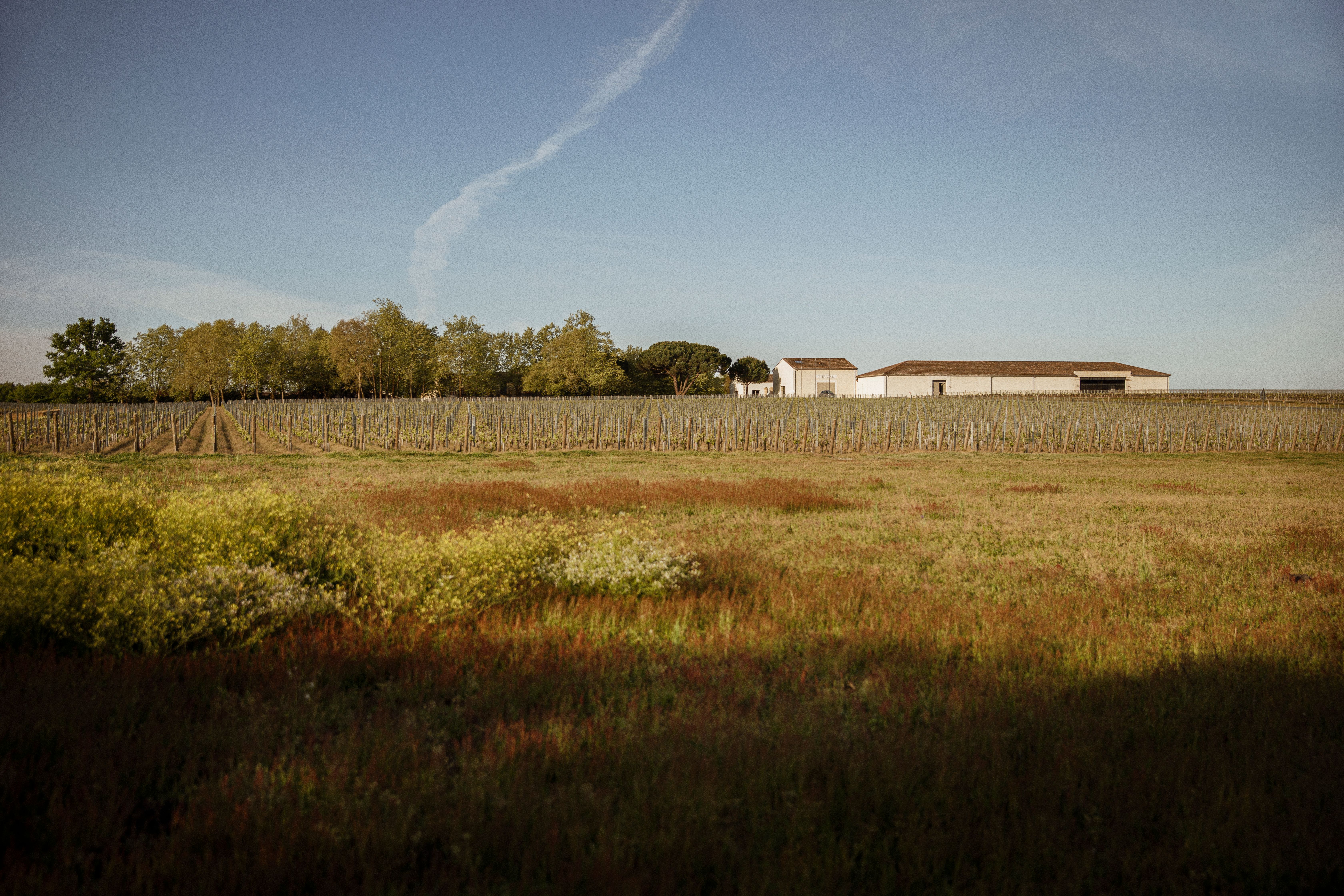 Fieuzal spring landscape