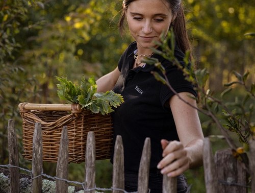 harvest in the garden
