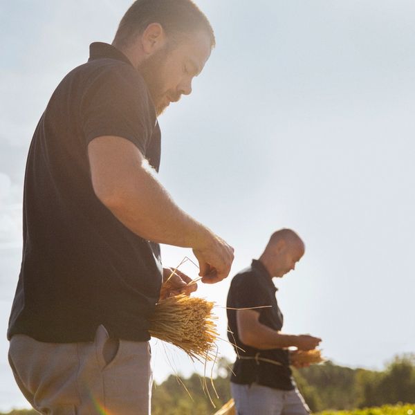 vineyard worker attaching