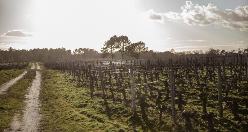 Fieuzal tasting room