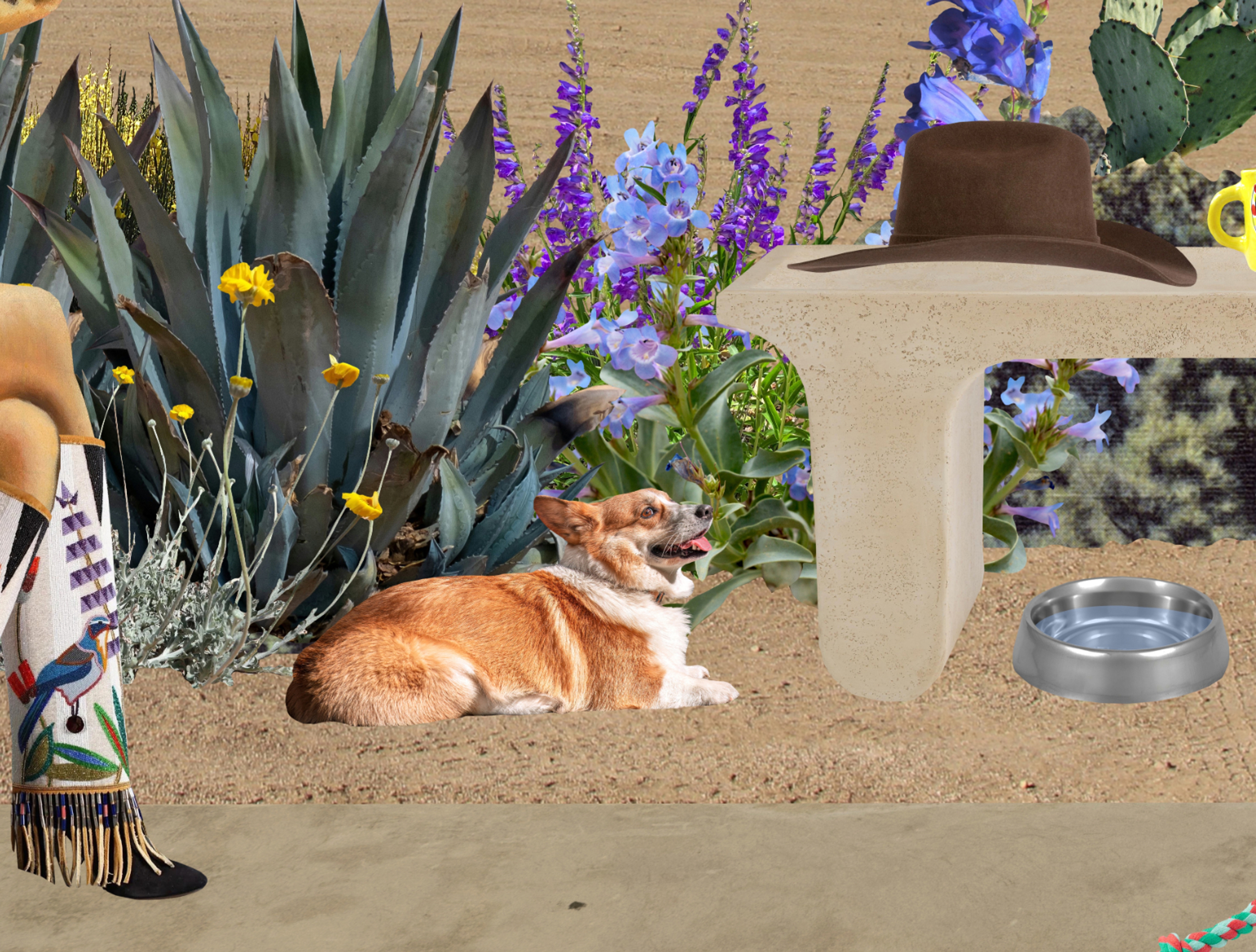Corgi