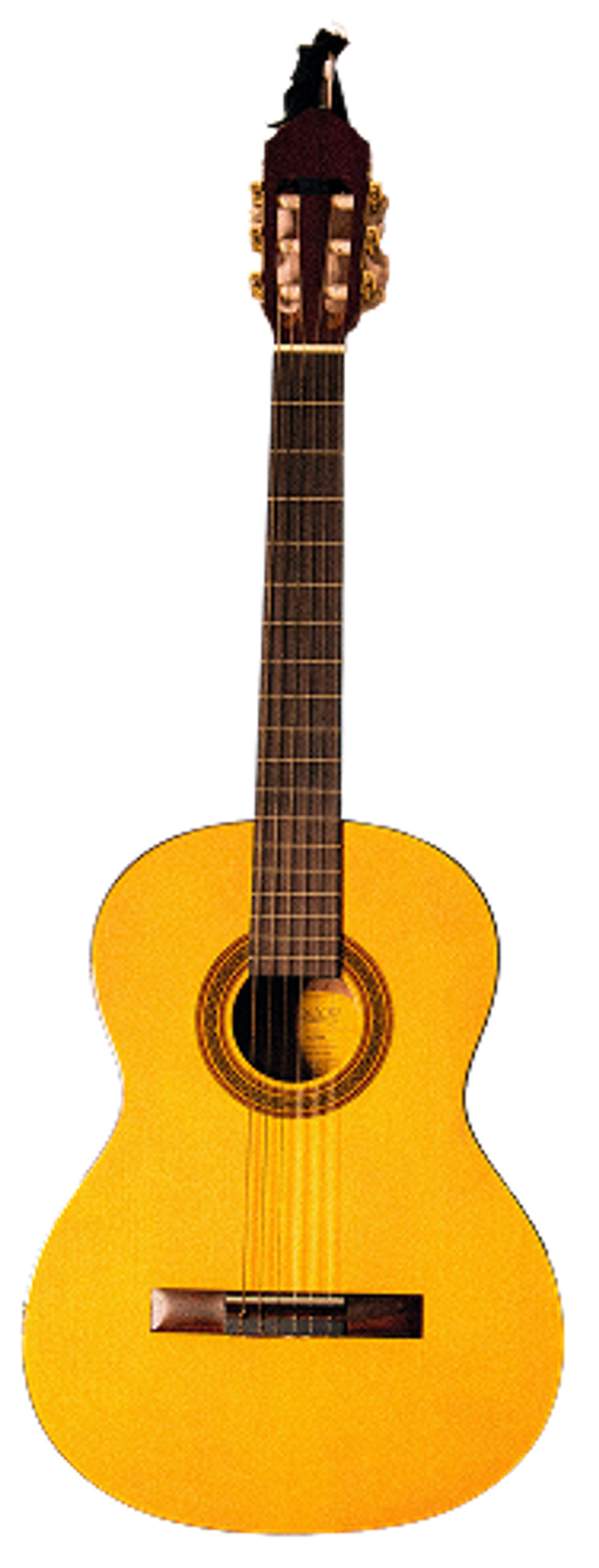 Acoustic guitar