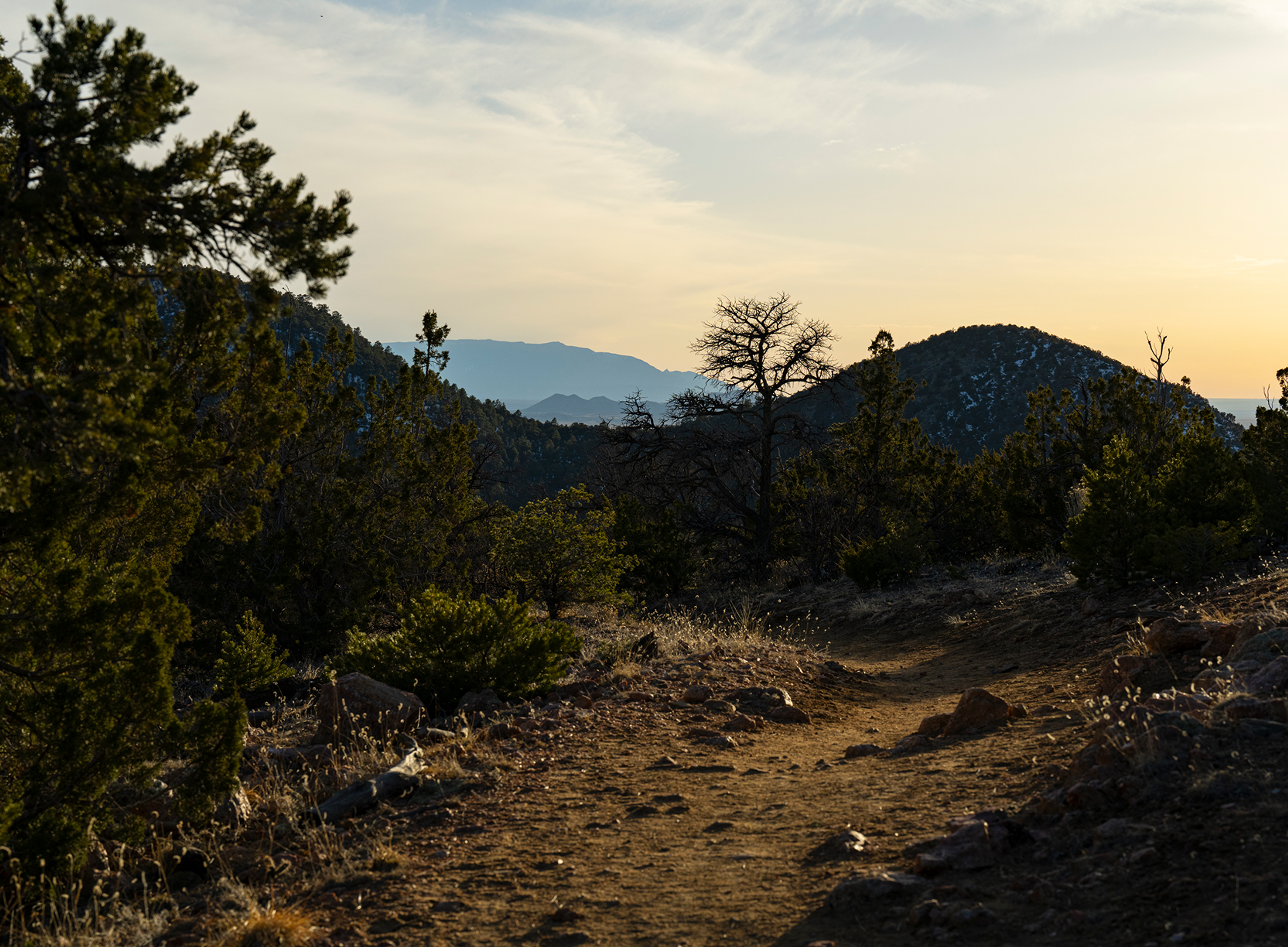 dale ball trails