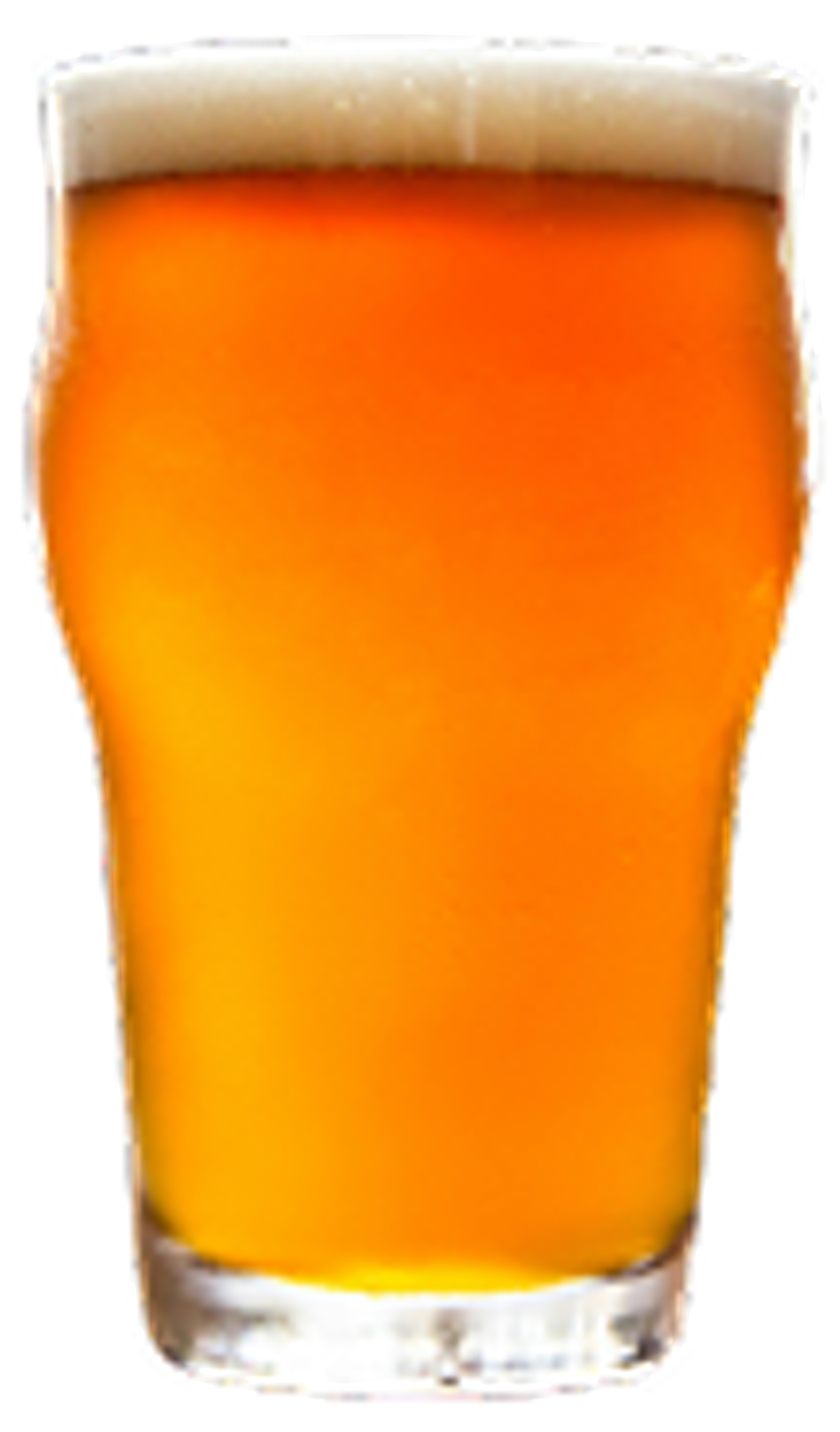 beer