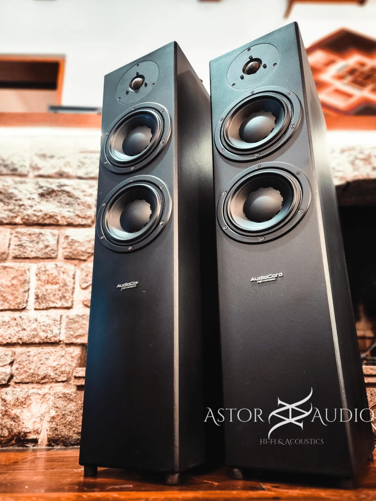 Bafles HiFi 2 Vias Audiocord HE 2/6