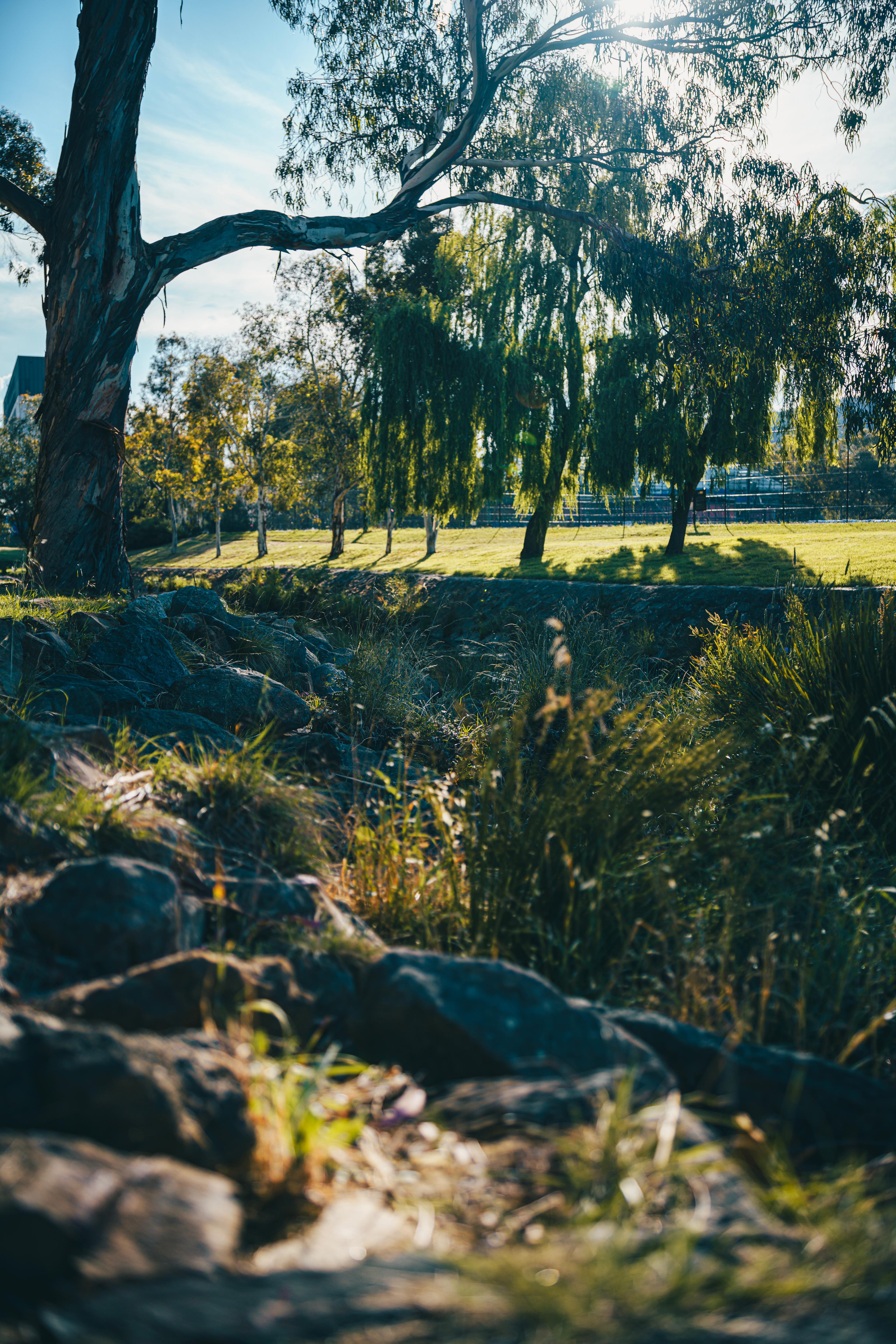 Canberra, ANU, Sullivan's Creek - 2023