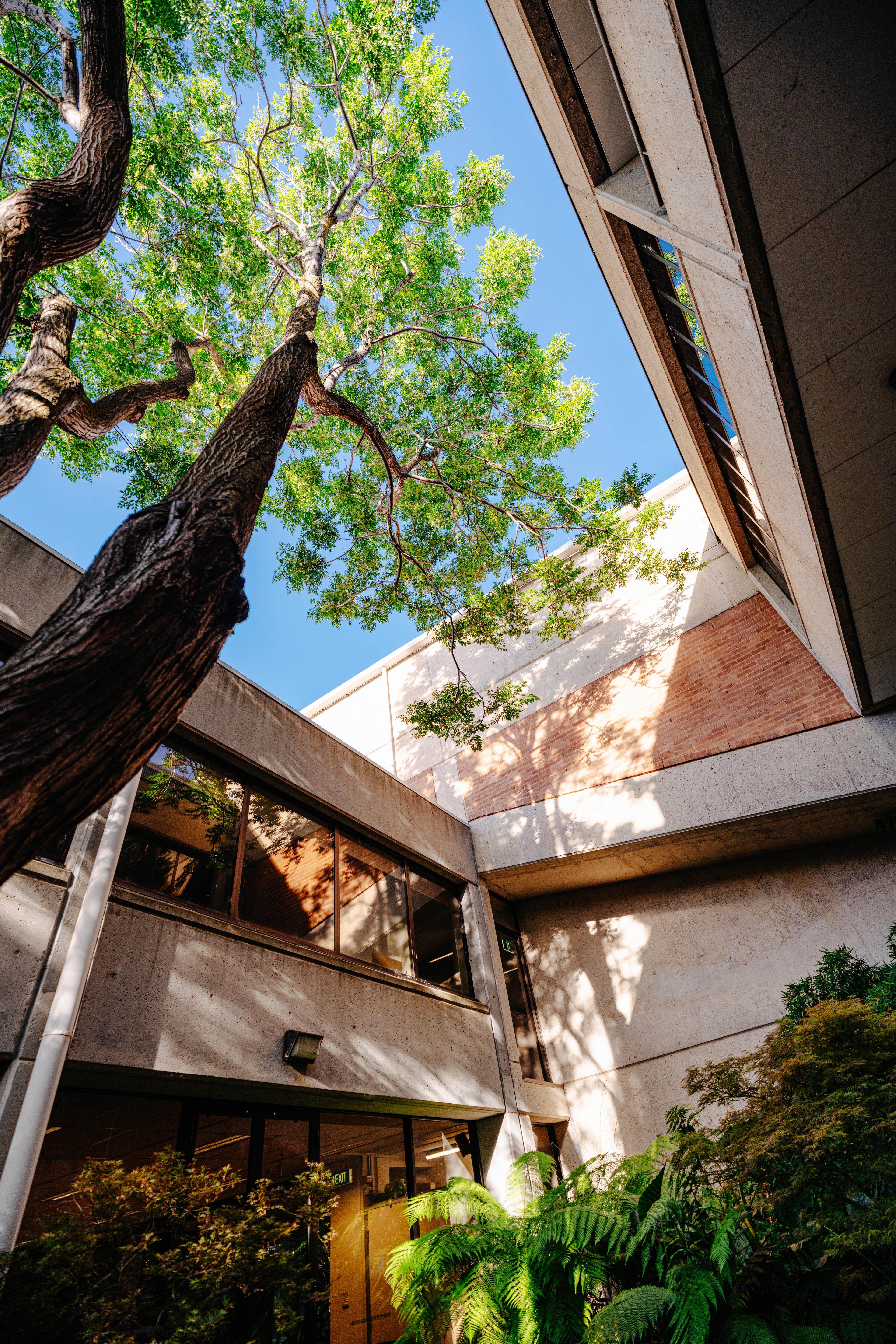 Canberra, ANU, The R.N. Robertson Building - 2025