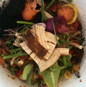 p2302-kerbside-compost