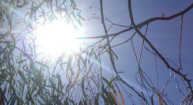 p2615 Heatwave sun 660