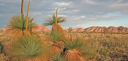 p2278-protected-area-2