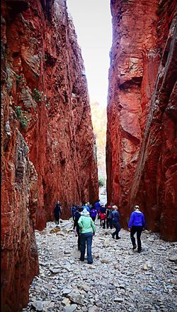 p2237-Larapinta-execs-8