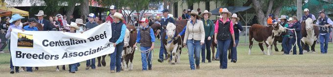 p2337-Show-2016-cattlemen-5