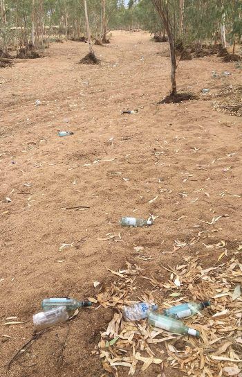 2485 rubbish in Todd OK