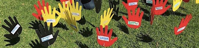 p2612 Apology hands 660