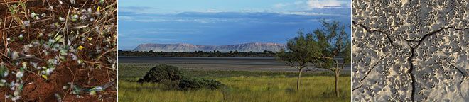 p2273-Gillam-5