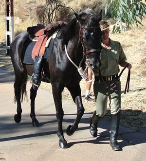 p2325-Anzac-march-20
