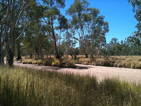 p2320-Todd-buffel-1