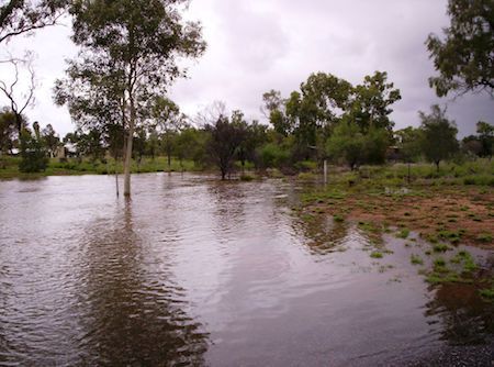 2567 St Mary's Creek at AZRI entrance, March 1, 2010