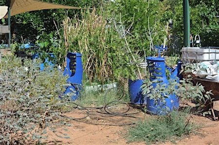 p2359-david-de-vries-2-ok