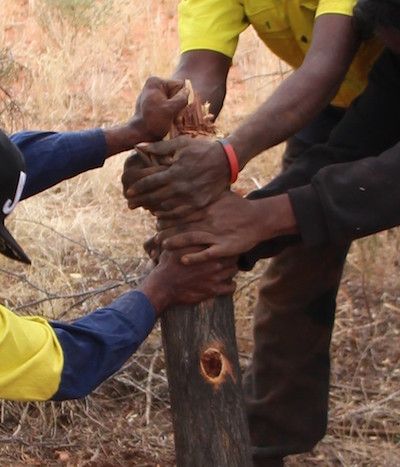 p2512 Men's Shed hands 400