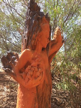 p2496 Pitchi Burnt Tree 330