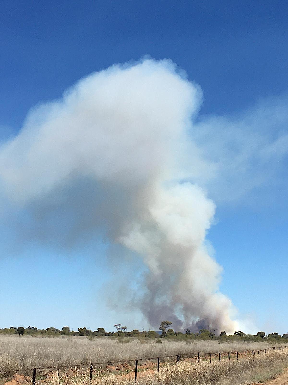 prescribed burning