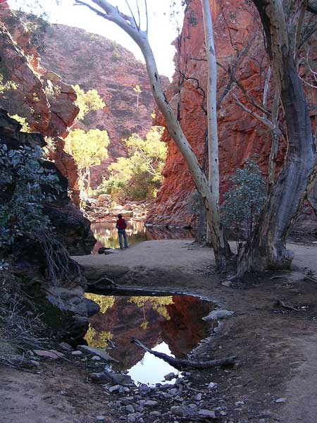 p2137-Redbank-Gorge-2