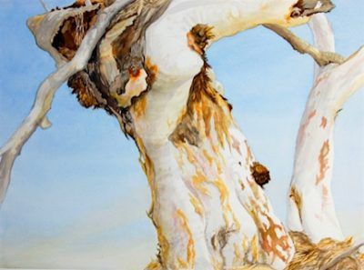 p2468 Trees Walsh Henry 1