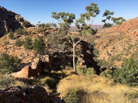 2468 Standley Chasm view 1 OK