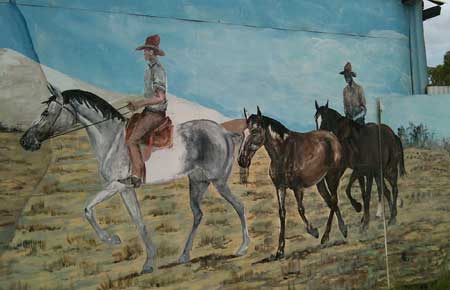 p2175-trip-pic-Camooweal-7