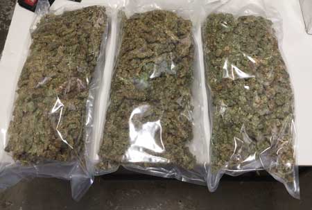 p2129-cannabis
