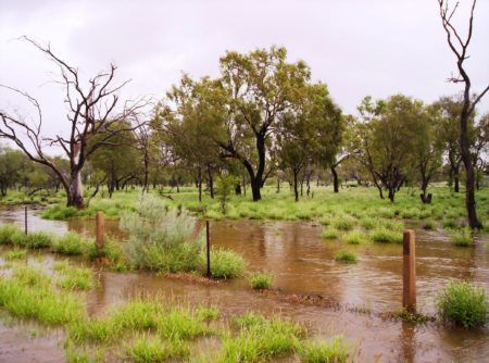 St Mary's Creek floodout, March 1, 2010 - AZRI boundary