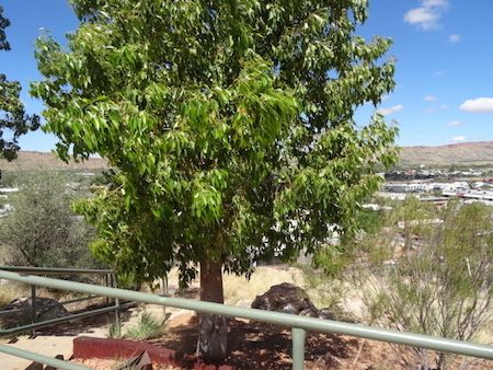 2639 Anzac Hill view OK