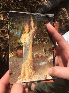 p2496 Pitchi Burnt Tree postcard 230