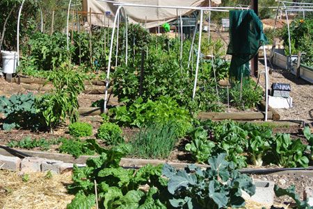 p2237-parks-cty-garden-sm