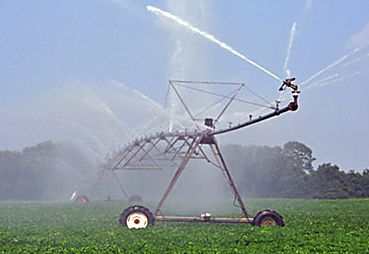 p2314-spray-irrigation