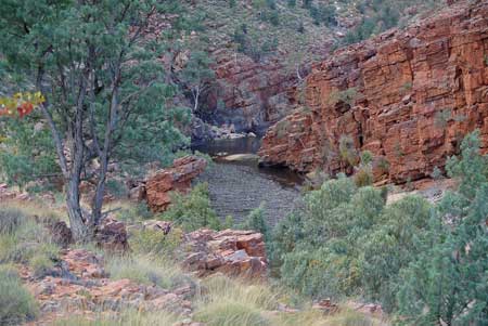 p2142-Ormiston-Gorge
