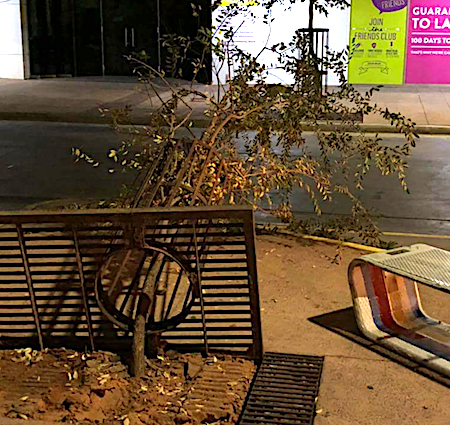 2558 Mall trashed FB 17 OK