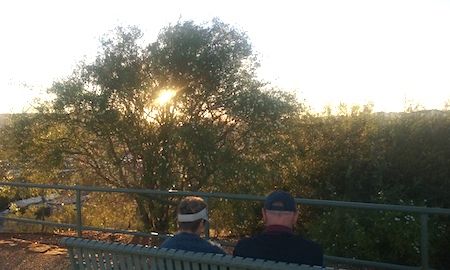 2637 sunset tree OK