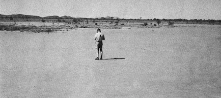 2539 buffel story 2