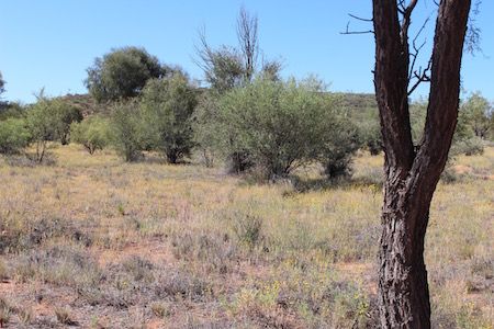 p2361-spencer-buffel-oct-2016bok