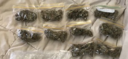 2499 cannabis OK
