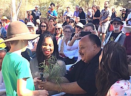 p2529 Reconciliation MLK flowers 430