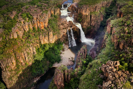 2599 Kakadu Felipe Rocha OK